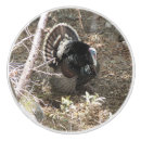 Recherche de turquie boutons et poignées de porte Dinde