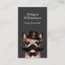 Recherche de funny cartes visite Soins aux animaux