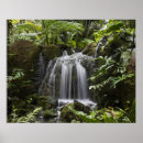 Recherche de botanic posters Plante