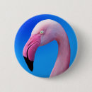 Recherche de flamant badges Photographie