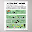 Recherche de boston terriers posters Dogs
