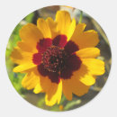 Recherche de oklahoma autocollants Fleurs sauvages