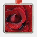 Recherche de suisse ornements Rouge