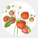 Recherche de fruit vintage autocollants Fraises