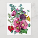 Recherche de illustrations botaniques cartes postales Plante