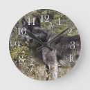 Recherche de loup gris horloges Loups