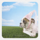 Recherche de allongé autocollants Dog