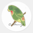 Recherche de perruques autocollants Perroquet