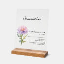 Recherche de aster Pâturage