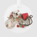 Recherche de chiot de bouledogue ornements Anglais