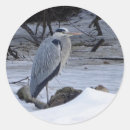 Recherche de great blue heron autocollants Héron