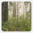 Recherche de bosquet autocollants Californie