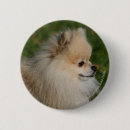 Recherche de profil badges Photographe canin