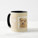 Recherche de terrier de norfolk tasses Mignon