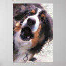 Recherche de border collie art Animaux de compagnie