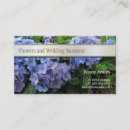 Recherche de hortensias cartes visite Fleurs