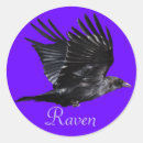 Recherche de black crow autocollants Corneille