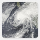 Recherche de en danger autocollants Océan