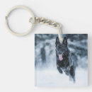 Recherche de loup noir porteclés Chien