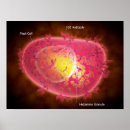 Recherche de circulatoire posters Horizontale