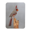 Recherche de ornithologie magnets Nature