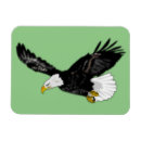 Recherche de aigles magnets Ailes