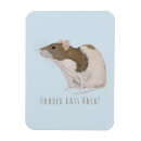 Recherche de ratties magnets Rat mignon