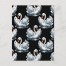 Recherche de canard noir cartes postales Animal