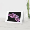 Recherche de plante vœux cartes Tulipe