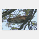 Recherche de baard autocollants Bardé