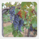 Recherche de vignoble autocollants France