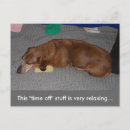Recherche de sommeil cartes postales Repos