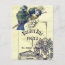 Recherche de oiseau dans une cage cartes postales Floral