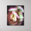 Recherche de affection impressions sur toile Vue en gros plan