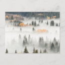 Recherche de fog cartes postales Forêt