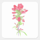 Recherche de rouge indien autocollants Fleur