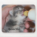 Recherche de alimentation tapis souris Animal