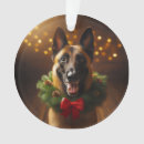 Recherche de malinois de vacances Dog