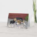 Recherche de amour chien beagle vœux cartes Chiot