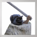 Recherche de hache posters Animal