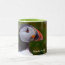 Recherche de macareux atlantique tasses Oiseau