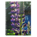 Recherche de étude photographie Violet
