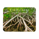 Recherche de marais magnets Travel