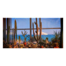 Recherche de cactus plant posters Pour tous
