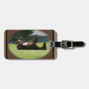 Recherche de poulain accessoires Poney