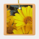 Recherche de marguerite jaune ornements Jardin