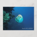 Recherche de la grande barrière de corail cartes postales Récif