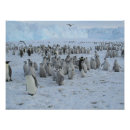 Recherche de antarctique posters Neige