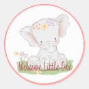 Recherche de éléphant bébé loisirs créatifs Baby