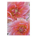 Recherche de dahlia rouge posters Motif